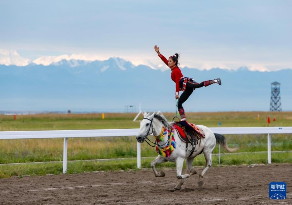阿根廷收獲 阿根廷收獲