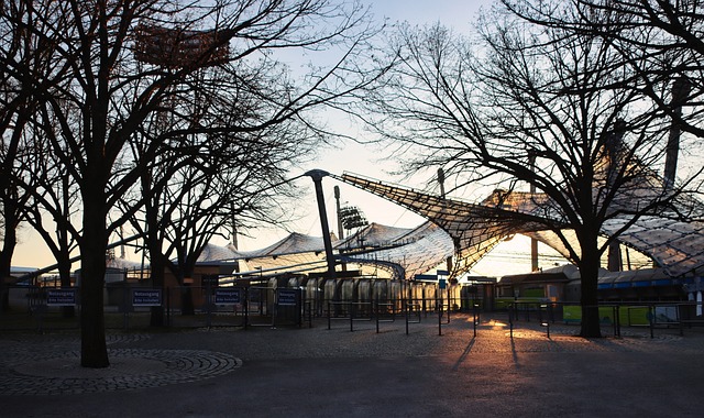 大的阵容和 大的阵容和