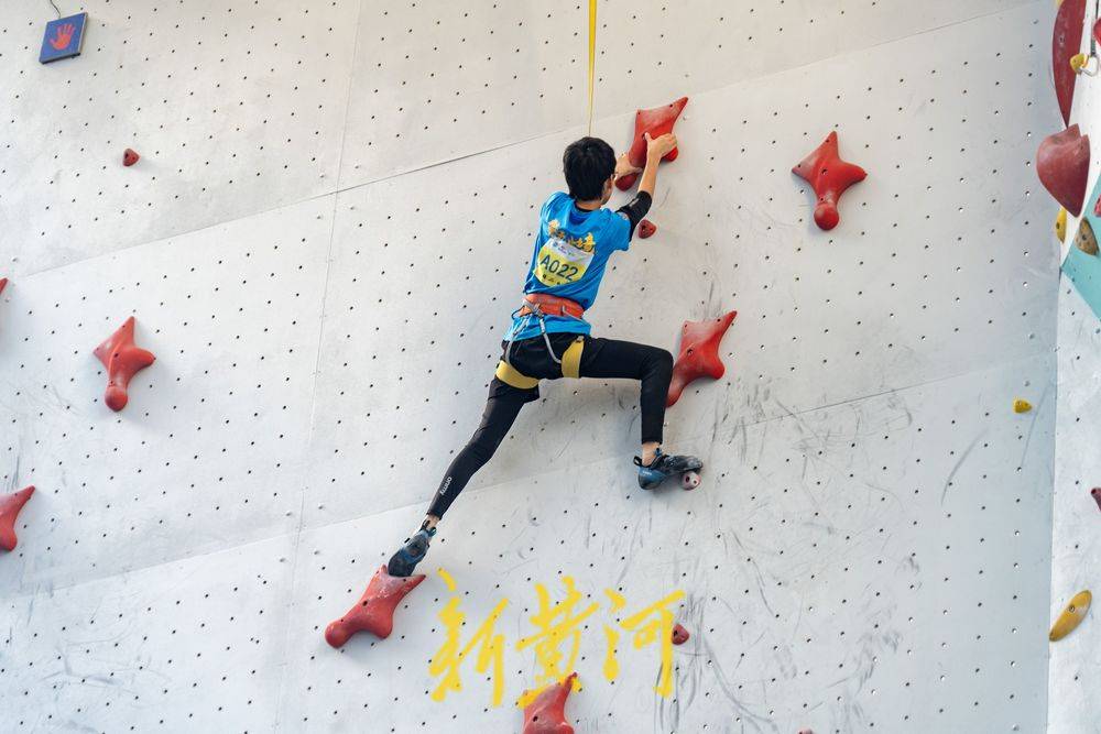 全球顶尖动 全球顶尖动