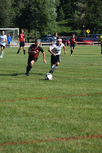 向来以其卓 向来以其卓